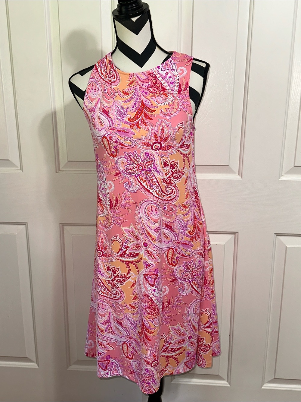 Barbara Erickson Pink Paisley A-Line Sleeveless Dress